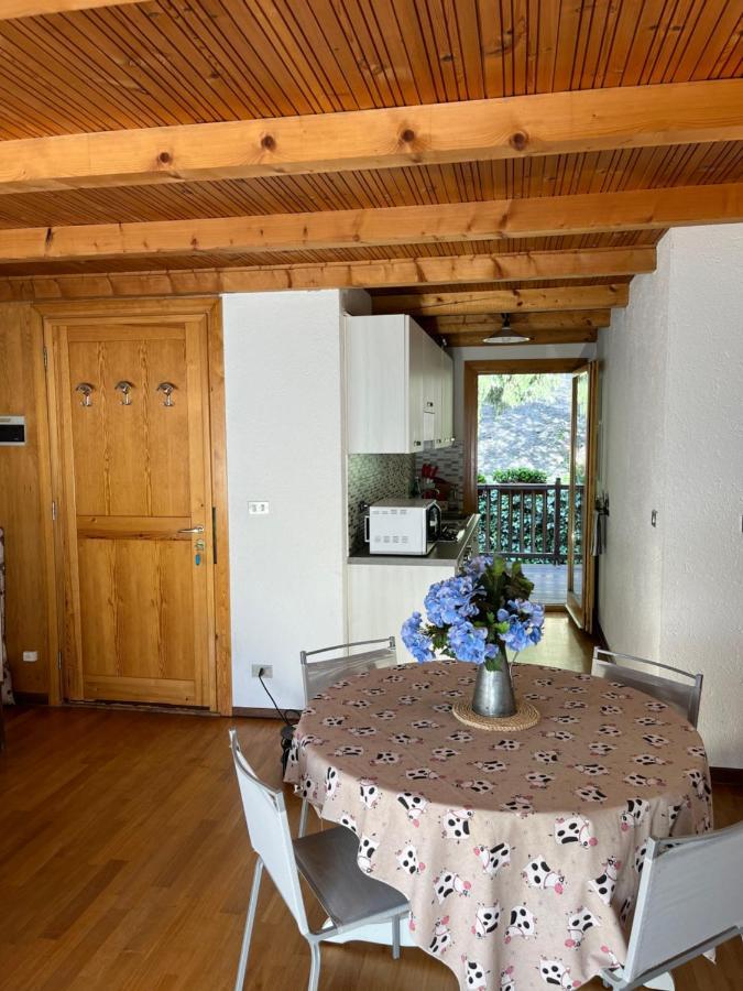 Chalet Blanc "Le Flocon" 库马约尔 外观 照片