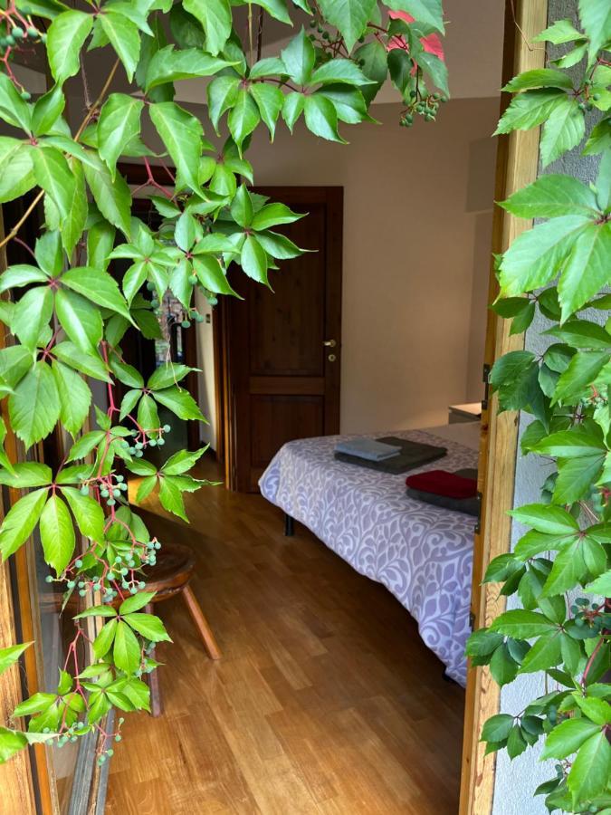 Chalet Blanc "Le Flocon" 库马约尔 外观 照片