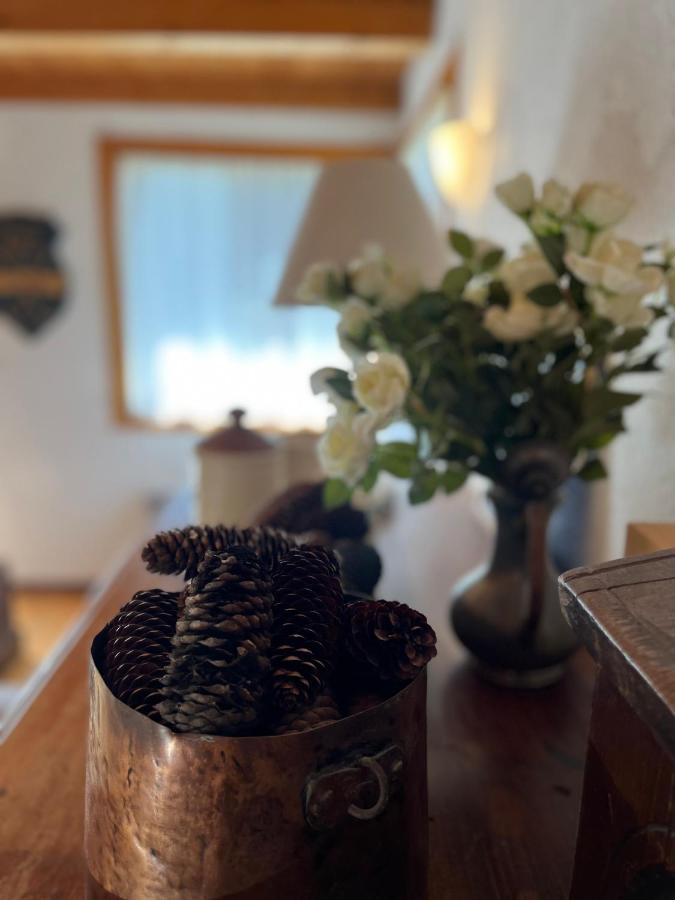 Chalet Blanc "Le Flocon" 库马约尔 外观 照片