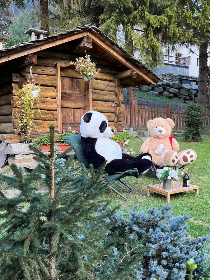 Chalet Blanc "Le Flocon" 库马约尔 外观 照片