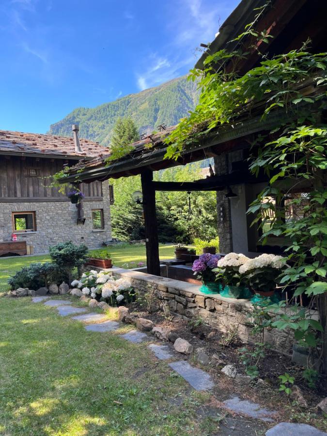 Chalet Blanc "Le Flocon" 库马约尔 外观 照片