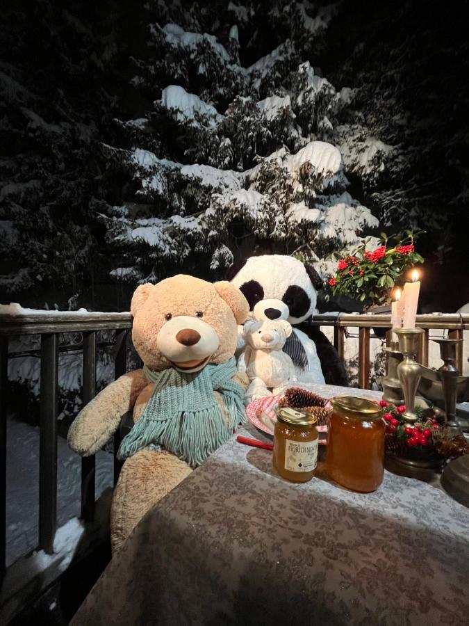 Chalet Blanc "Le Flocon" 库马约尔 外观 照片
