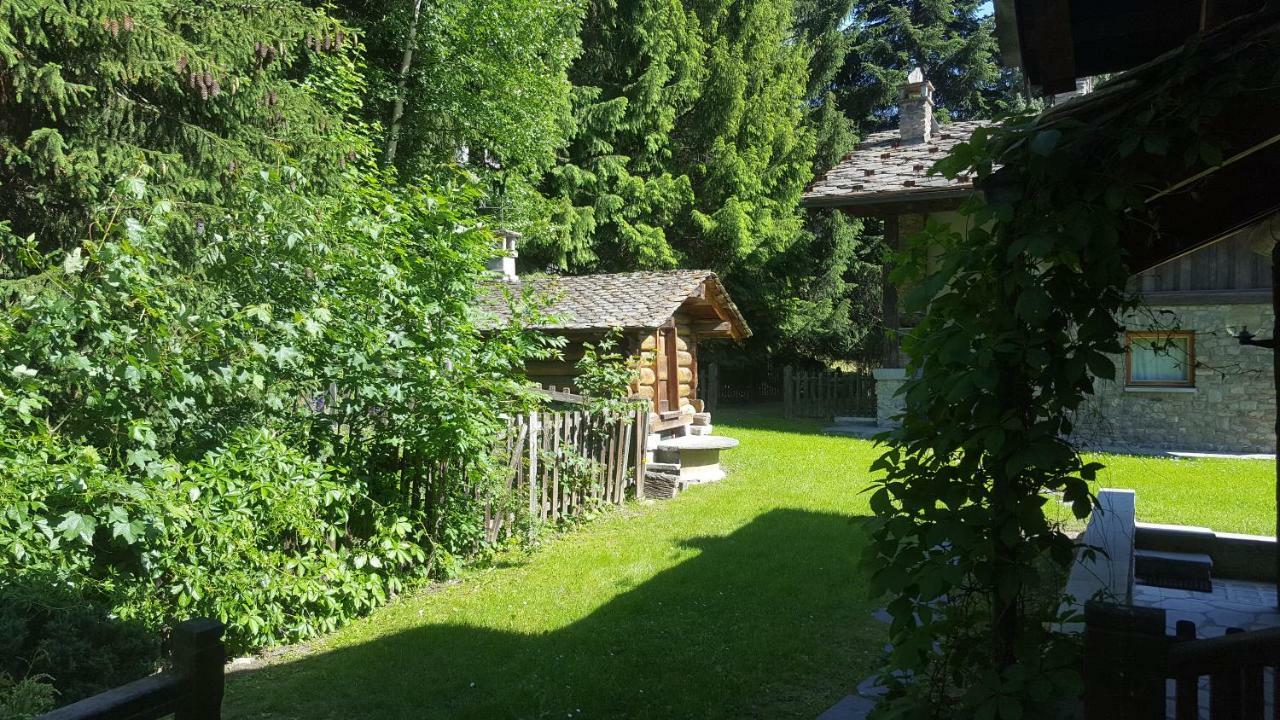 Chalet Blanc "Le Flocon" 库马约尔 外观 照片